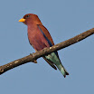 IMG_8625-1.jpg