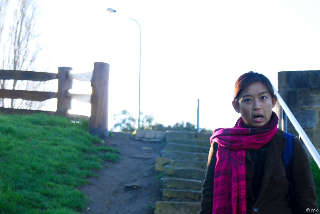 [DSC_09247.jpg]