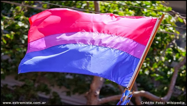 Bandera bisexual