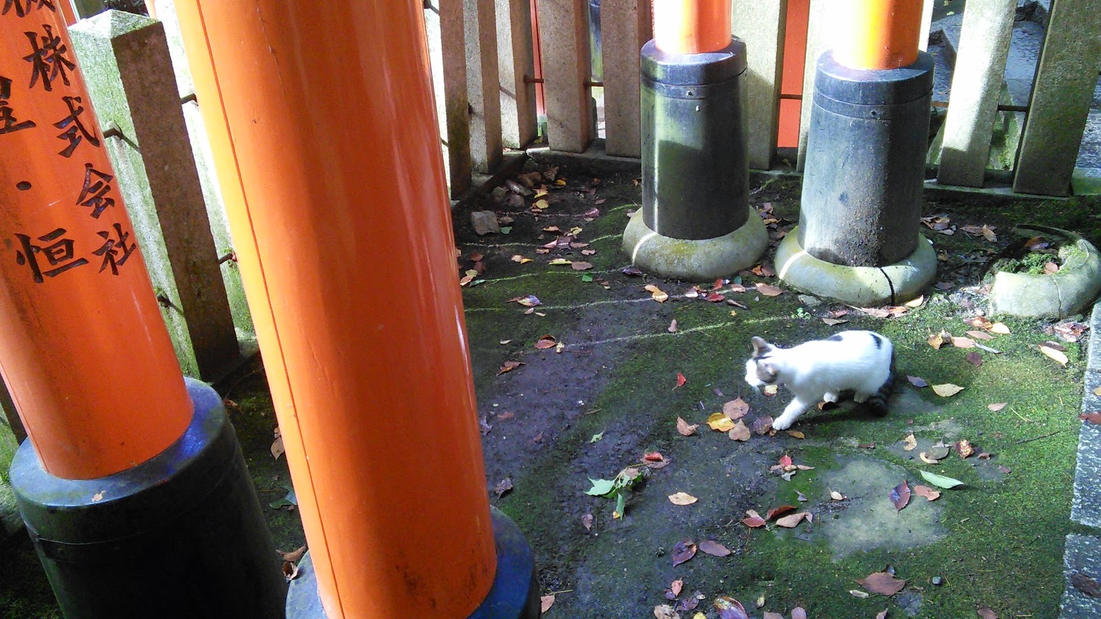 [IMG_20141006_145507%255B3%255D.jpg]