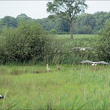 ATPinksteren2011 / GroteFoto-EHTNM7DE.jpg