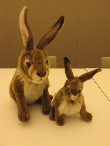 Aren't these bunnies gorgeous?