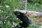 glacier_national_park_-_2009