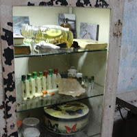 Art Installation at Eastern State University