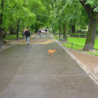 159-Poland-Krakow-I want to be free .JPG