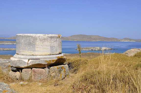 _DSC6785.JPG