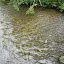DSC05811.JPG