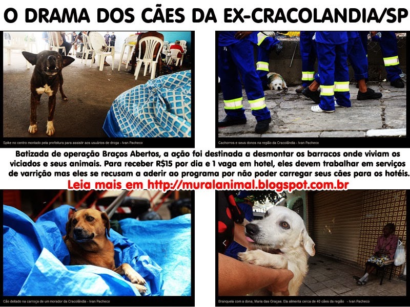 [caes_cracolandia4%255B3%255D.jpg]