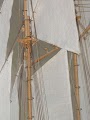 bluenose-15.jpg