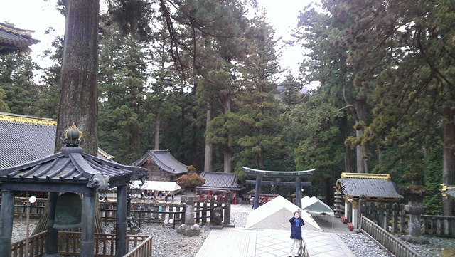 [IMAG0681%255B3%255D.jpg]