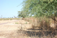 DSC_0015.JPG