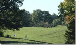 pasture