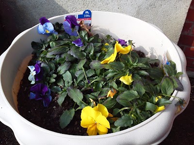 2014-02-01 10.28.47.jpg