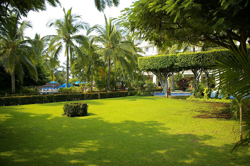 Barcelo Karmina Palace