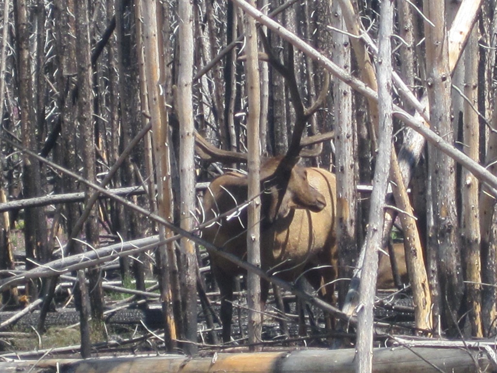 [IMG_1230%255B4%255D.jpg]