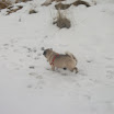 Spacer 21.01.2012