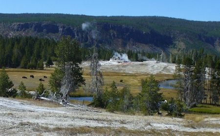 [Day13Yellowstone%2520Castle%2520geyser%2520with%2520bison%255B3%255D.jpg]