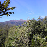 Near the start of the trail to Gunung Raung (Daniel Quinn, July 2011)