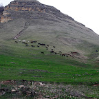 kavkaz-2010-3kc-21.jpg