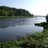 dsc05179.jpg