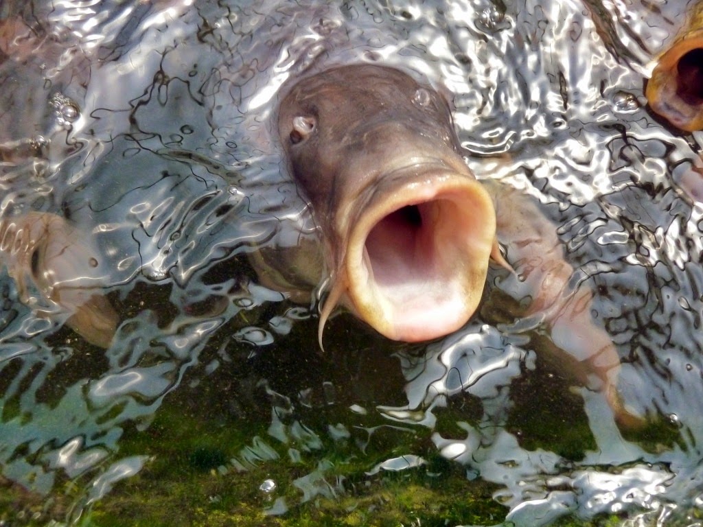 [Nick%2520Miller%252C%2520Cowes%255B6%255D.jpg]