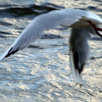20100822_152_small.JPG