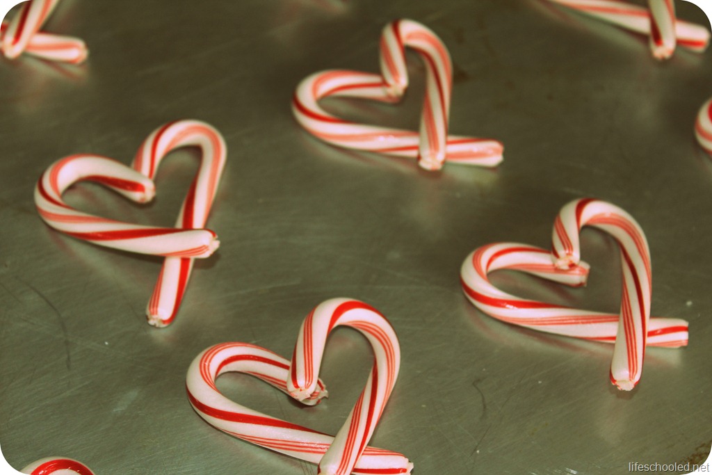 [candy-cane45.jpg]