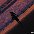 l016.jpg