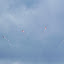 The final good bye maneuver of the Patrouille Suisse