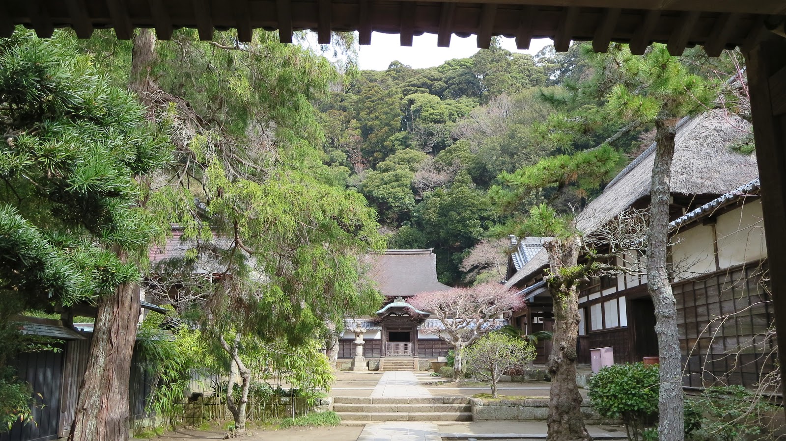 [IMG_0597%255B3%255D.jpg]