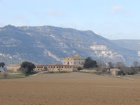 DSC09967.JPG Photo