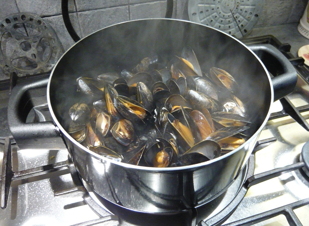 [moules32.jpg]