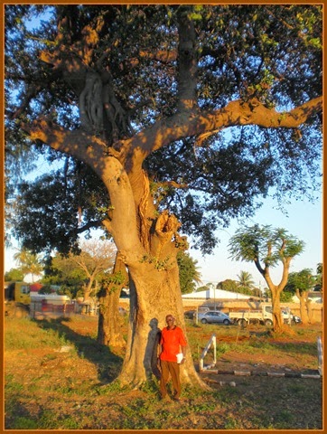 [CIMG9498%255B4%255D.jpg]