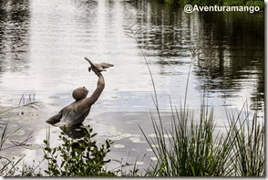 Caçador de Patos, Laguna del Tesoro, Cuba