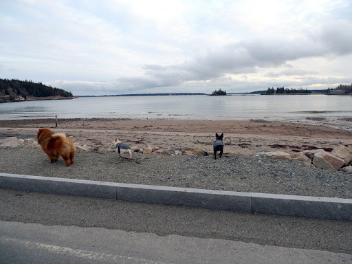 Look Sharkey, G.K. found the beach!  It's too chilly for beach combing now but I can't wait until we visit in the summer.  I love the feeling of warm sand on my paws!