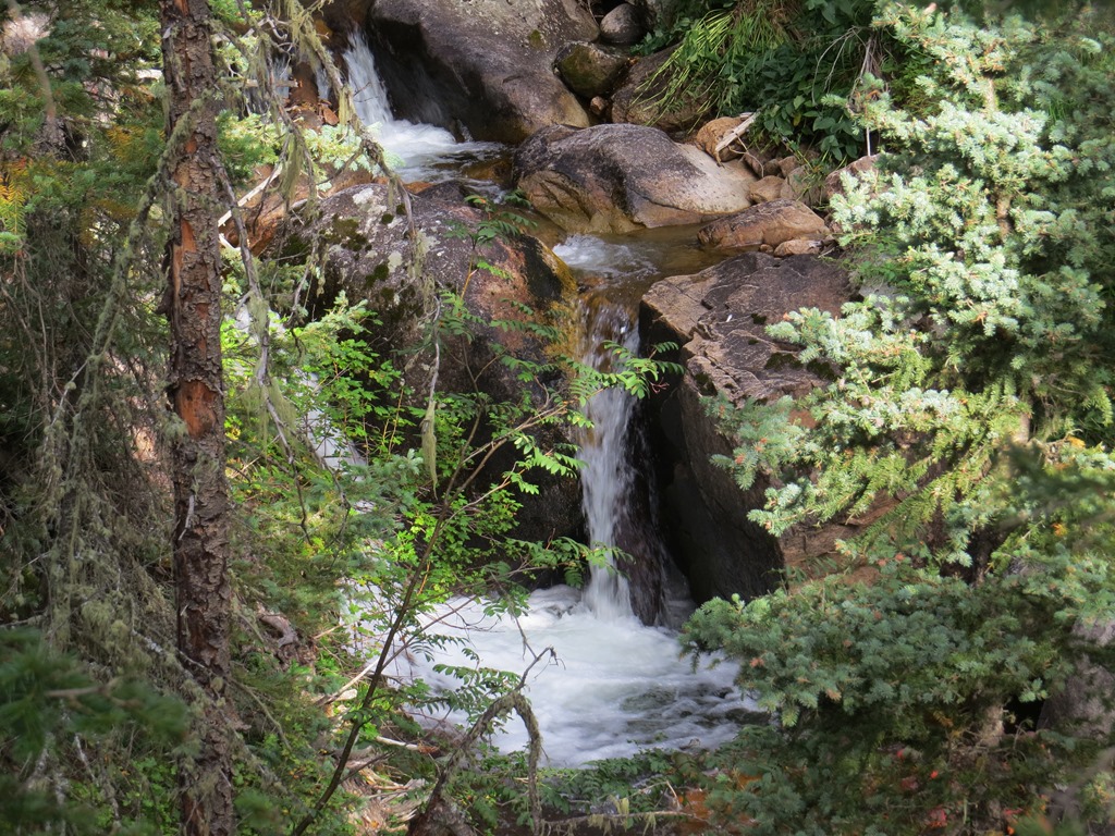 [IMG_07503.jpg]