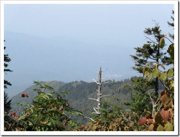 [gatlinburg-from-the-mountain_thumb22.jpg]