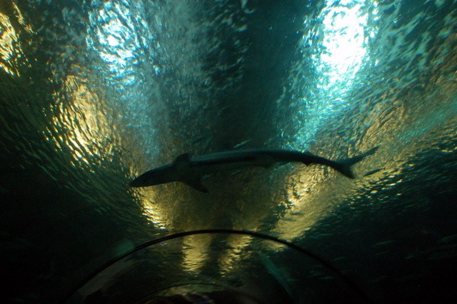 [DSC_5445%255B4%255D.jpg]