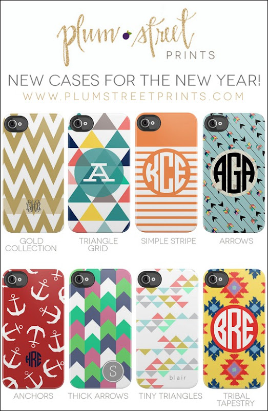 PlumStreetPrints_NewCases_January2013