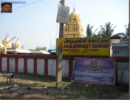 DSCN2845 DSCN2845
