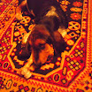 DSCN2481.JPG