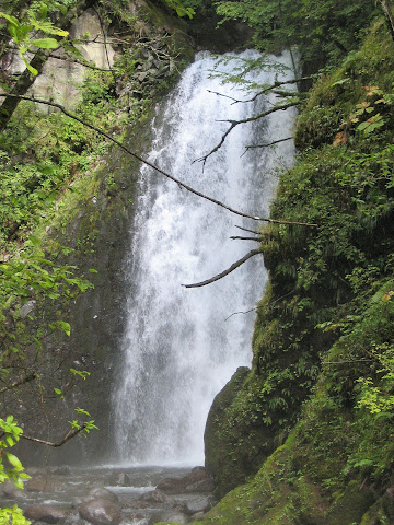平金大滝