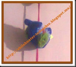Imagen6 Imagen6