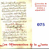 075 - Carpeta de manuscritos sueltos.