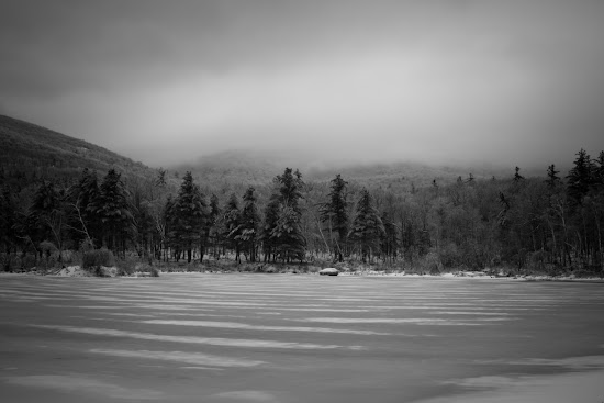 _MG_5191.jpg