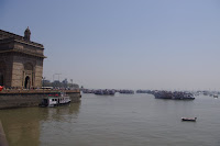 IMGP3234.JPG Photo