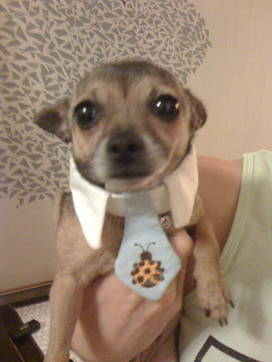 Oh, and a tie for more formal affairs.