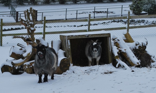 [DSC_0947%255B4%255D.jpg]