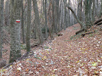 DSCN8745.JPG