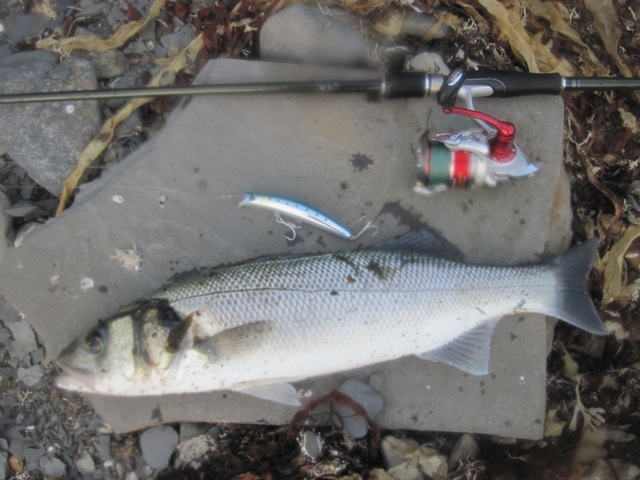 [IMG_0755%255B5%255D.jpg]